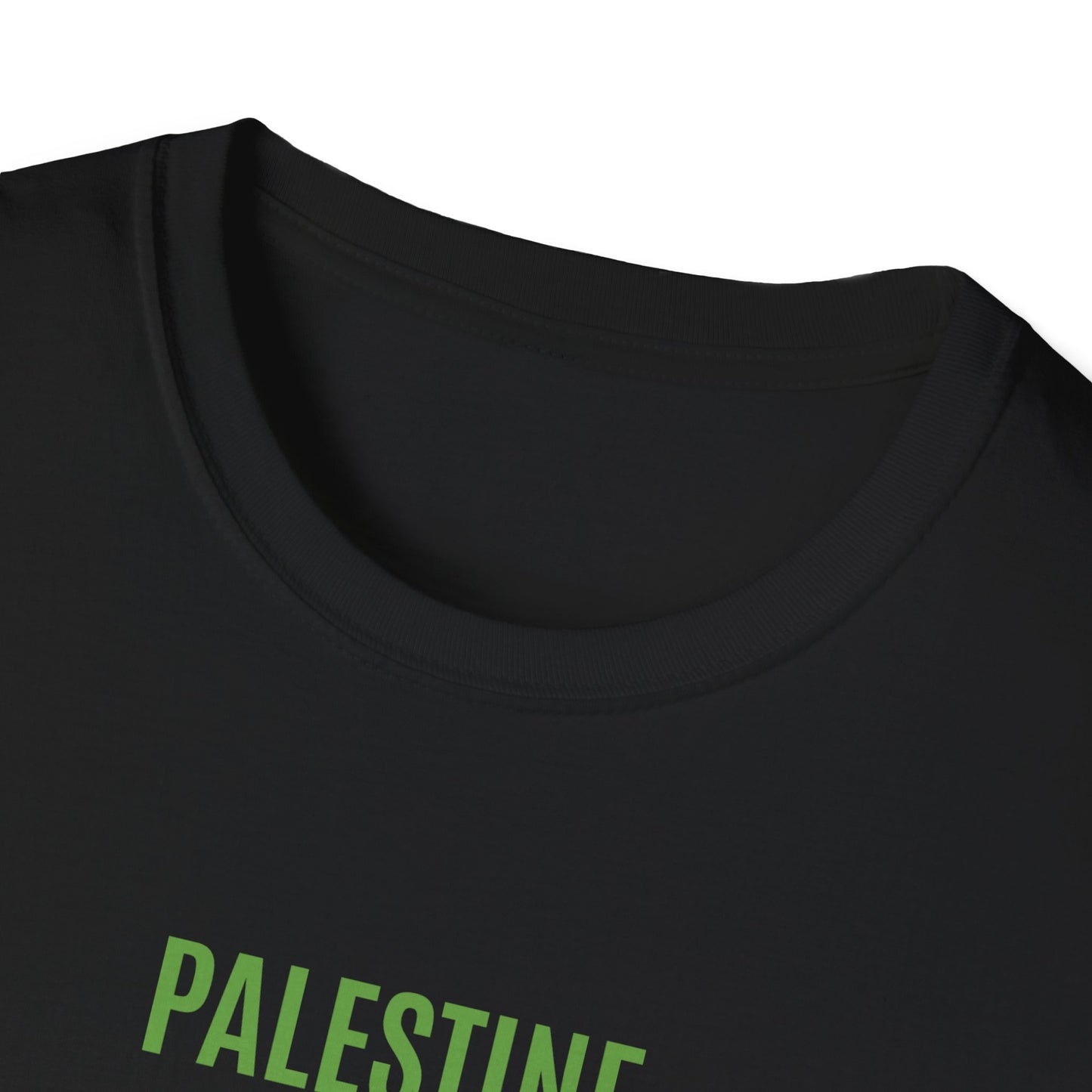 T-shirt History of Palestine noir