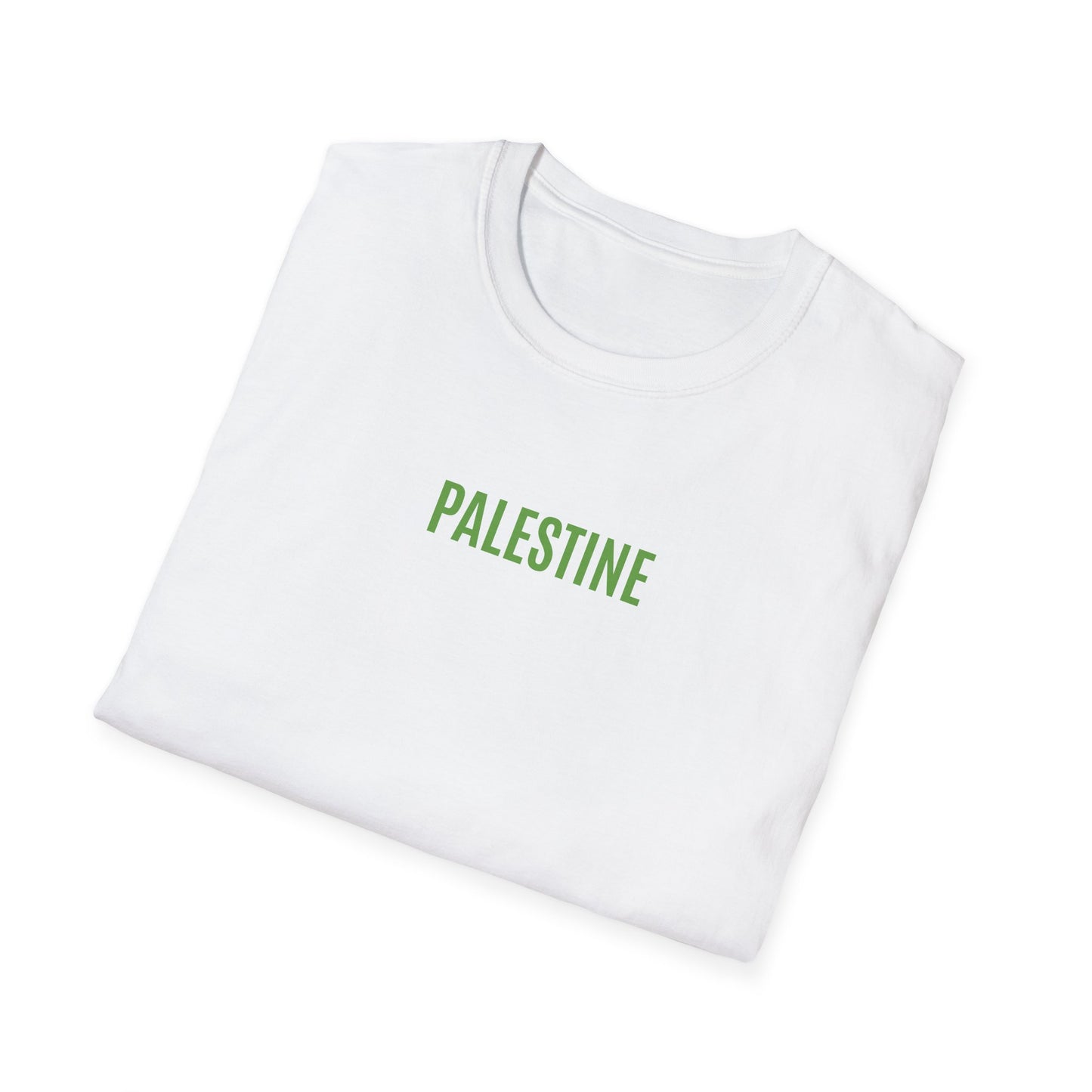 T-shirt History of Palestine blanc