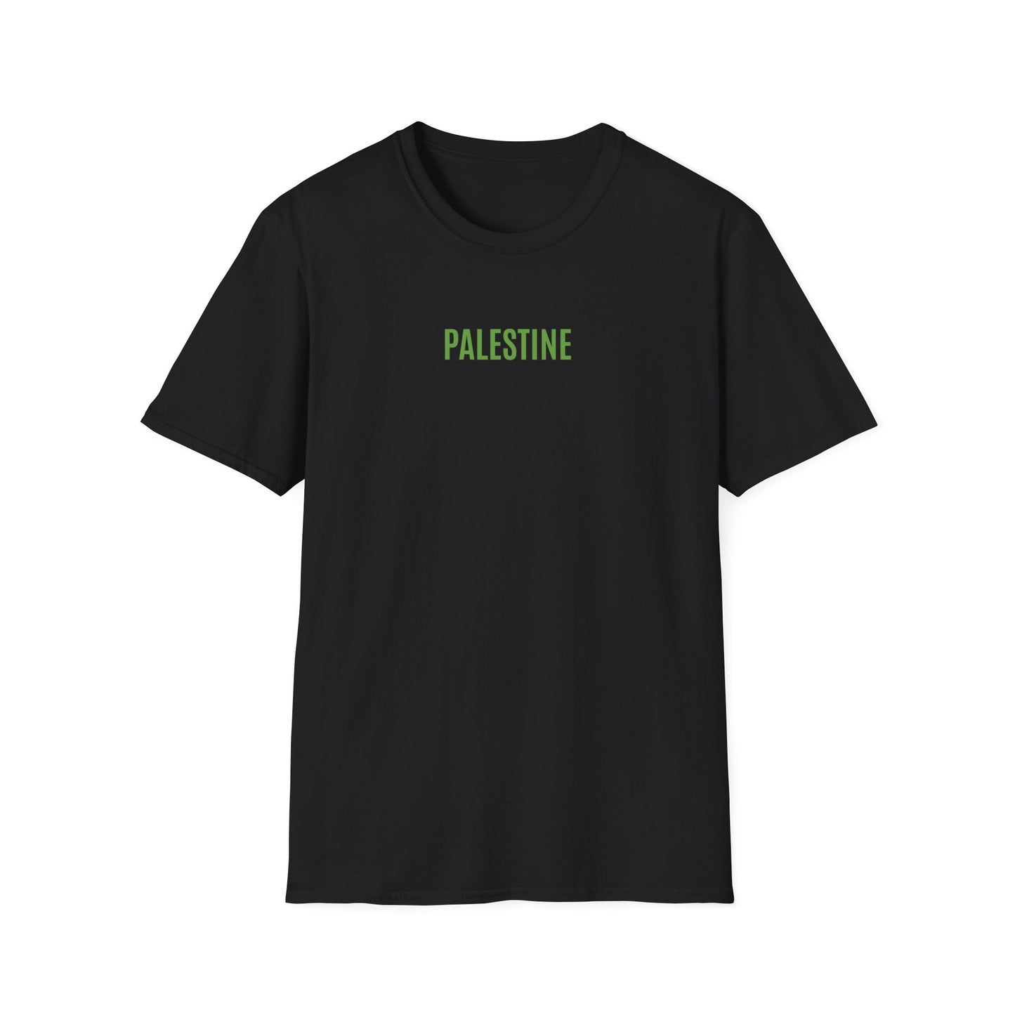 T-shirt History of Palestine noir