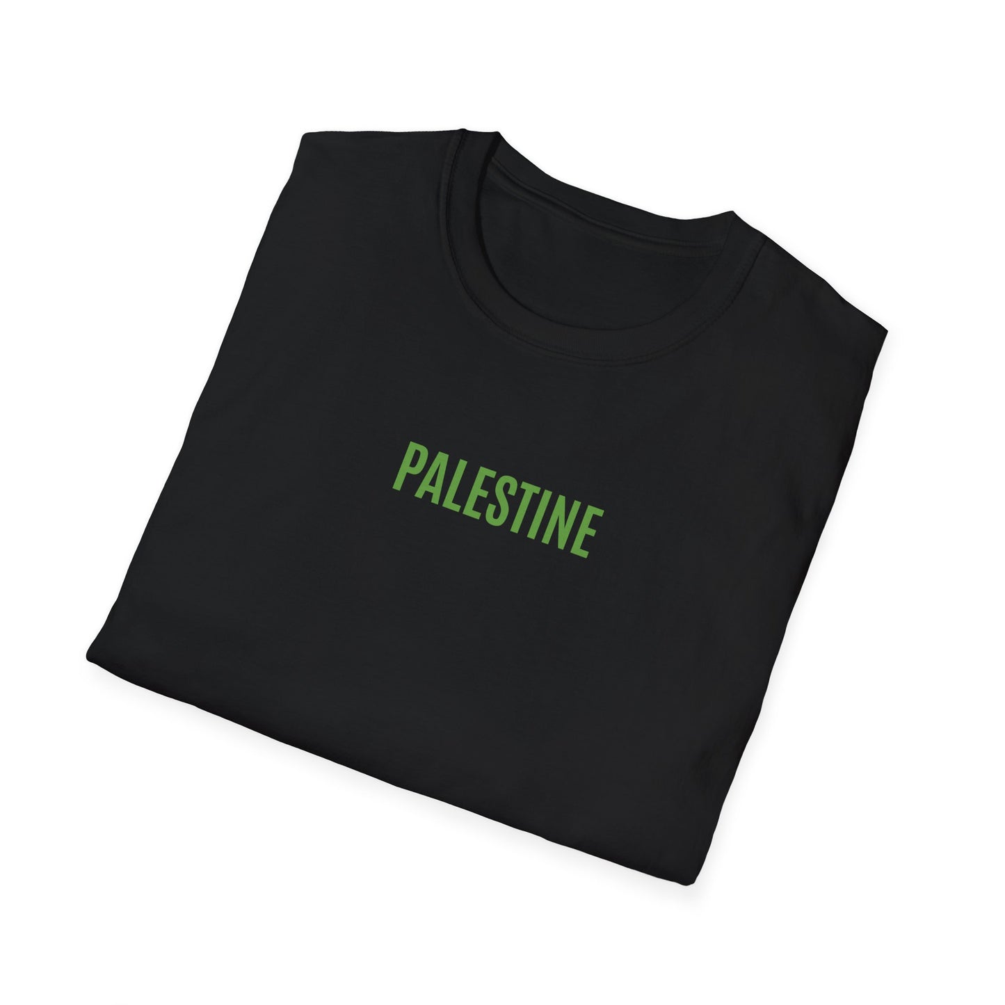 T-shirt History of Palestine noir